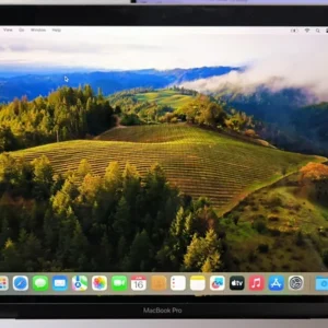 PANTALLA MACBOOK PRO 13 A1989 GRIS